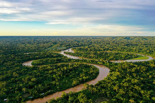 Floresta Amazônica: características e desmatamento - Brasil Escola