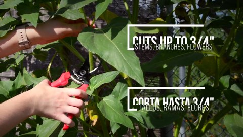 Corona BP 3214D ComfortGEL Bypass Hand Pruner, 3/4-inch cut , Red