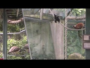 Unerwartete Begegnung