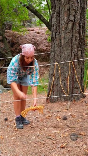 Tent Defense Tips Against Wild Animals 🏕️🐾 Stay Safe While Camping