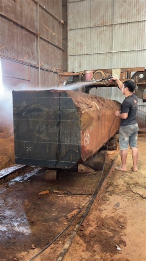 Introducing the super-sized elephant! #dogonguyenkhoi #dogothehoan