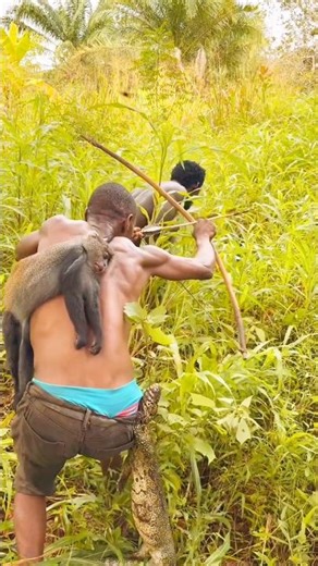 They Tried to Stop the Hunt… Then It Escaped | Bush Awareness