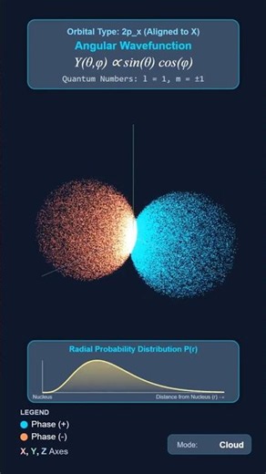 P-Orbital Radial Probability Distribution #shorts