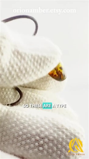 Amber Pendant: Seashells From the Age of Dinosaurs - Etsy