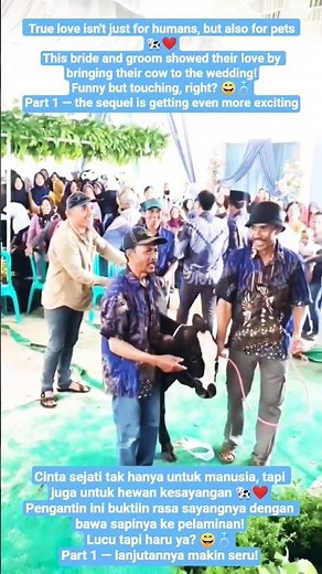 Viral! Bride Brings Her Beloved Cow to the Wedding, Amazes Guests 🐄💍#shorts