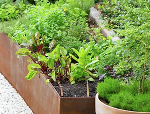 Vegetable Garden Ideas To Save You Money  - Bunnings Australia