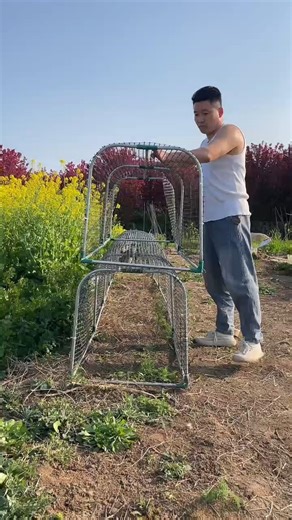 This Chicken Tunnel System Will Change Farming Forever 🐔🔥