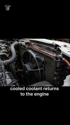 Why Do Cars Overheat? 🔥 The Real Reason Explained! #shorts #engine #maintenance