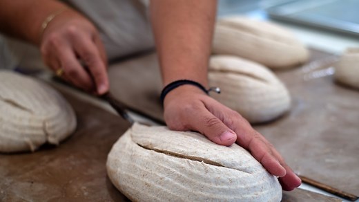 Want to sell your own baked goods? See Florida's cottage food laws