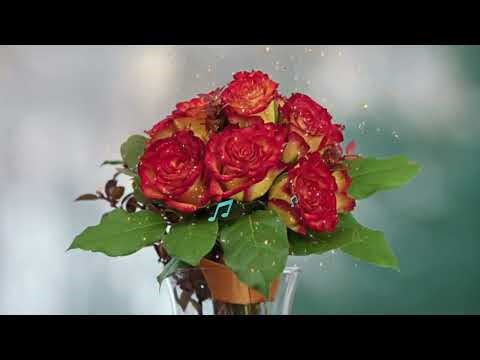 Flower Festival Remix HD