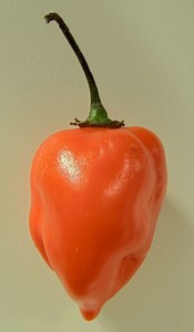 Hot pepper challenge - Alchetron, The Free Social Encyclopedia