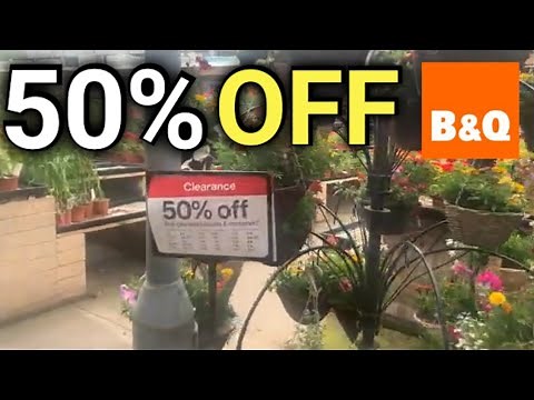 50% Clearance on Plants at B&Q