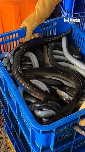 Food Adventure 美食探險 | Super fast speed fillet eel in seconds satisfying to watch #eelfillet #fishcutting #fastskills #fblifestyle | Instagram