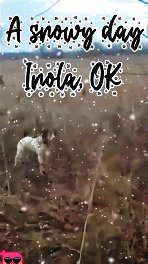#brittany #fieldchampion finds a huge covey of #quail #gundogtraining #brittanyspaniel #chukar