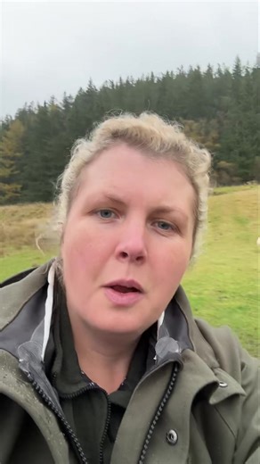 43K views · 368 reactions | When I went to make a post early this morning but was in the way! #multitasking | Logie Farm, Newburgh | Facebook