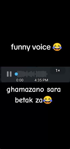 Hilarious Funny Voice Clips That Will Make You Laugh!
