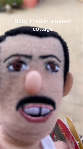 Baby Fred in a #beachcottage