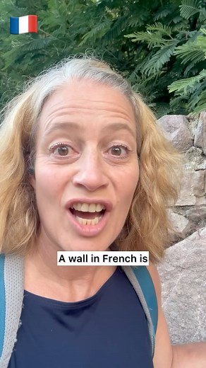 How to say wall in French 🇫🇷 Speak better French now! A wall - Un mur A hard wall - Un mur dur A wall of pink granite - Un mur de grès rose Think of the wall art - mural - to help you remember Homophones are words that sound the same but have different spellings and meanings. A blackberry - Une mûre Mûr(e)(s) is also the French for ‘ripe/mature’ A ripe blackberry - Une mûre mûre ! To learn French with me, CécileBB, click the courses link😀 #cecilebbfrenchforadults #frenchlessons #frenchteacher