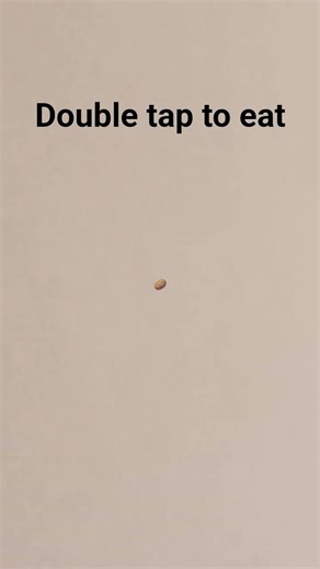 double tap to eat this