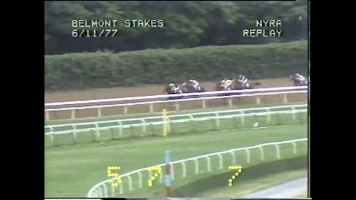 133K views · 2.1K reactions | #TBT to when SEATTLE SLEW won the Belmont Stakes in 1977 and became the 10th winner of the Triple Crown! Relive the historic moment and watch the full replay: | Belmont Stakes | Facebook