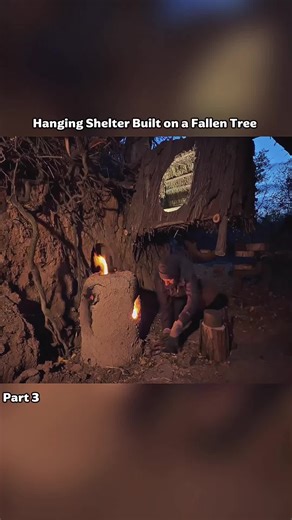 Building a Shelter on a Fallen Tree - Part 3