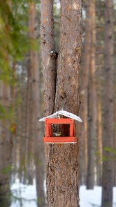 1.6K views · 1.3K reactions | Highlight what matters most. Depth Blur in Photoshop Elements 2025 makes it easy to put the focus right where you want it. | Adobe Photoshop Elements & Premiere Elements | Facebook