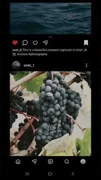 Instagram Clone Demo
