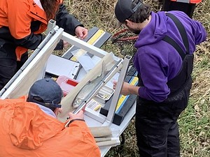 Tribes move whitefish upriver in bid to revive Great Lakes runs