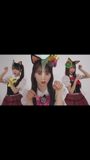 猫の日を祝う令和のニャーKB・AKB48特集
