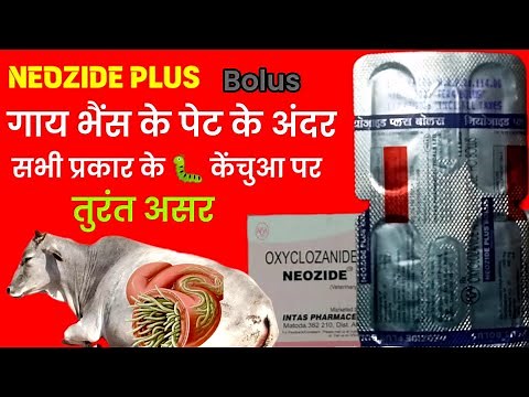 Neozide plus bolus || Best dewormer review dosage usage side effect & composition