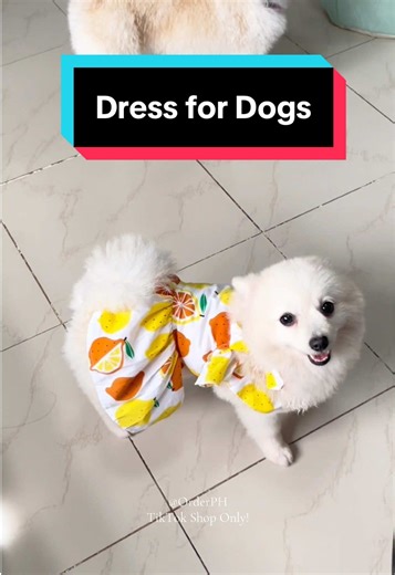 Dress for dogs | clothes that is comfy for your pets #orderph #petdress #dogdress #petclothes #dogclothes