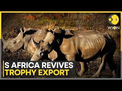 South Africa to Permit Rhino, Elephant Hunts & Trophy Exports Again | WION