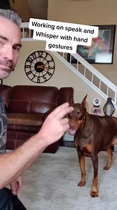 672K views · 55K reactions | Training ruby with only hand gestures | Rubydoobydo | Facebook