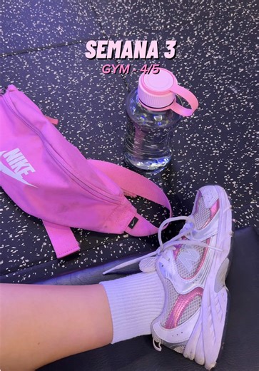 4/5!! Fallé porque no les grabé todos los ejercicios ☹️ planis de:@Miguel Angel #smarfitchile #entrenamiento #runningchile #girlpower #antofagasta