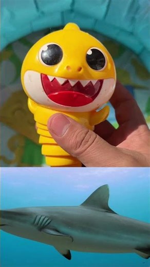 Sea Animal Toys for Kids | Learn Ocean Animals & Facts for Preschoolers| Ocean Adventures