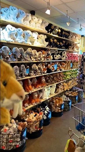 Smilo and the Wild Republic Plush Animals at the El Paso Zoo