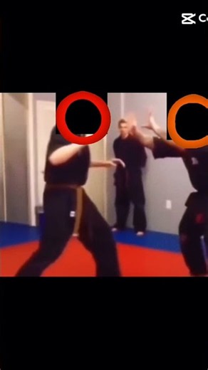tdl vs tsc be like