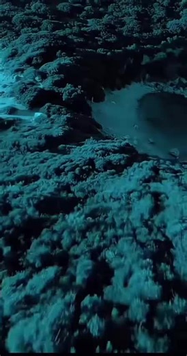 Deutsche Musik und Pop-Kultur entdecken