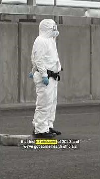 Can you trust health experts to navigate the hantavirus?
