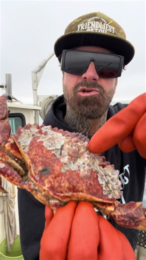 Mysterious Barnacle Chronicle #friendliestcatch #barnaclechronicles | barnacle