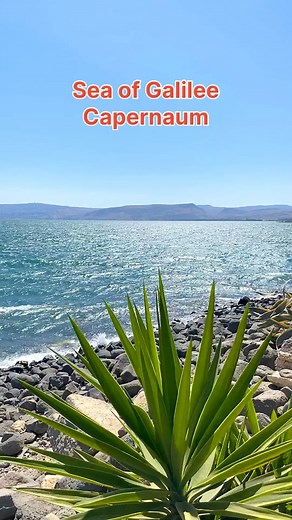 83K views · 6K reactions | Wonderful and Amazing! Capernaum, the Town of Jesus, Sea of Galilee. | Visit Israel From Your Home | Facebook