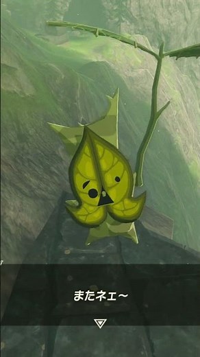 [Tearkin] Korok spot on Zora River - The Legend of Zelda: Tears of the Kingdom #TheLegendofZelda ...