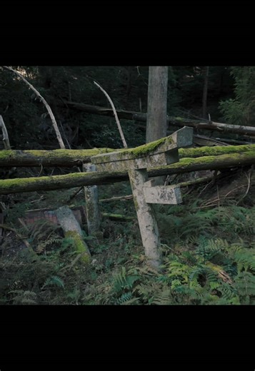 GoogleMapには載っていない神社。国土地理院に記載あり 倒木により真っ二つになった鳥居がある最高クラスの神社。 2026年1月1日初詣LIVE配信で行きました。運気爆上げ♪♪ 📍妙見宮稲荷-京都 #異世界 #神社 #japan #鳥居