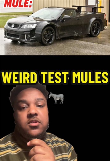 How many did you get right? #cartok #carsoftiktok #fyp #mule #conceptcar
