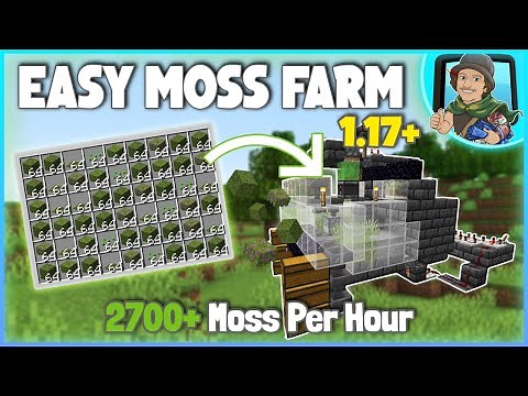 Minecraft EASY Moss Farm Tutorial! 1.17+ (2700+ Moss Per Hour)
