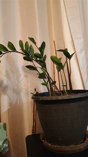 May the words of my mouth and the meditation of my ❤️ B acceptable to U Lord, my rock & my Redeemer.