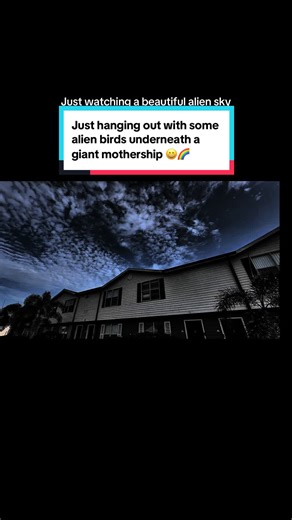 Incredible Alien Sun and Sky: UFOs and Bird Encounters