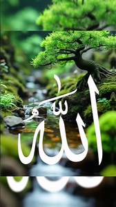 ‎🕊️ Surah Al-Fātihah | The Opening of Faith & Mercy 🌟 | Mesmerizing Recitation by Egzon Ibrahimi