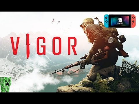 TEST DE LA VERSION SWITCH | VIGOR