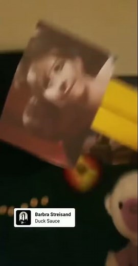 Barbra Streisand (Duck Sauce)